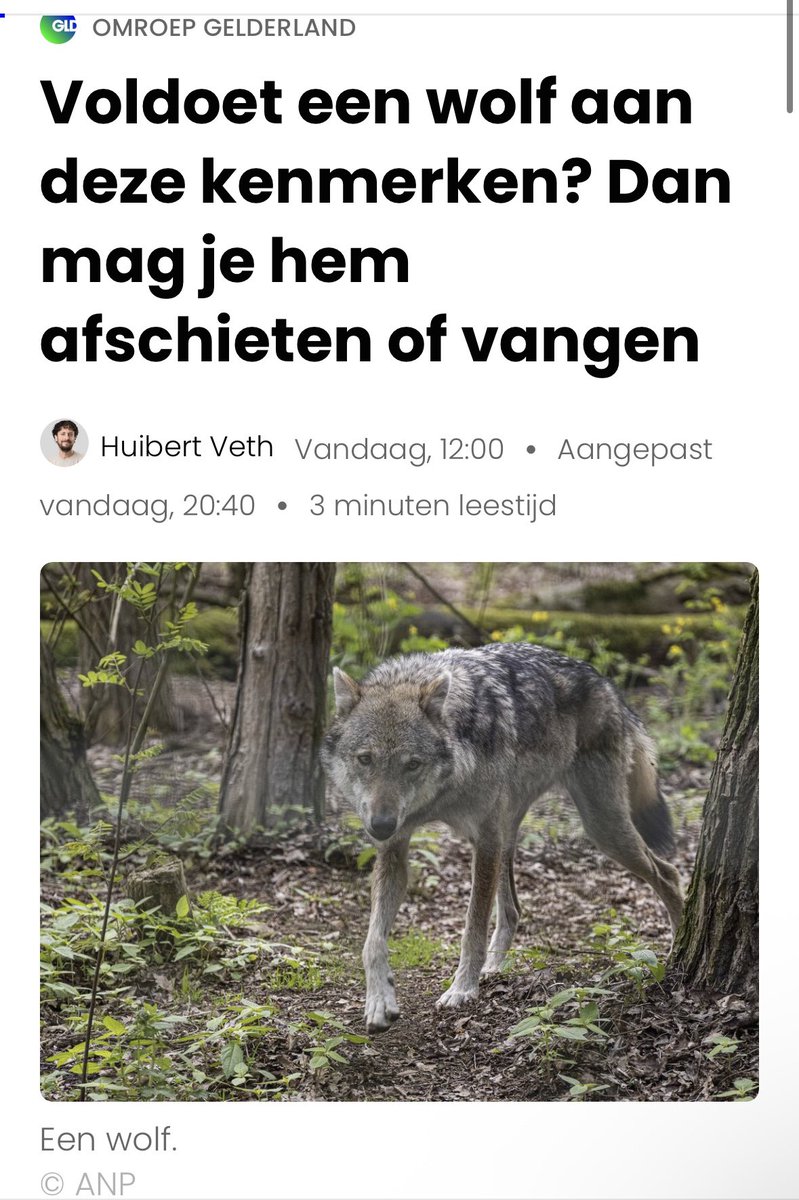 AvanStraaten's tweet photo. Het klinkt daadkrachtig: “een probleemwolf mag worden gevangen of afgeschoten.” Maar de praktijk is een stuk ingewikkelder.

De grootste vraag is namelijk: hoe weet je zeker dat je de juiste wolf hebt? Wolven lijken op elkaar, leggen grote afstanden af en kunnen binnen één nacht tientallen kilometers verder zijn. Tegen de tijd dat er een vergunning is en een team klaarstaat, kan het dier alweer verdwenen zijn.

Daar komt bij dat gedrag niet altijd hetzelfde blijft en veel meldingen slechts momentopnames zijn. Het risico bestaat dus dat de verkeerde wolf wordt aangepakt of dat het probleem zich simpelweg verplaatst.

De nieuwe regels maken ingrijpen misschien juridisch makkelijker, maar de praktische uitvoering blijft een enorme uitdaging. De vraag is dus niet alleen óf een probleemwolf mag worden aangepakt, maar vooral hoe ze met zekerheid de juiste wolf vinden.

https://t.co/rZDbtBIdfX