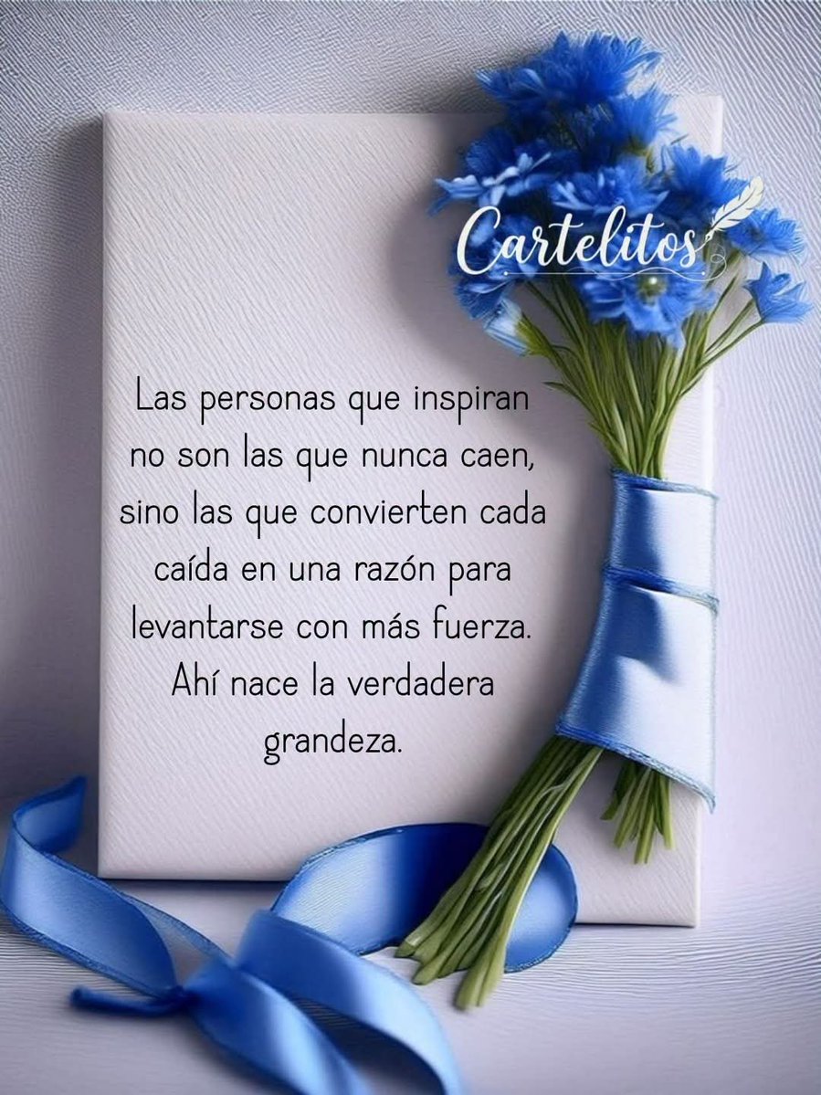Javier90201611's tweet photo. @DanaDanone Lindo día @DanaDanone 

Miss Dana https://t.co/YC94EeZSNa