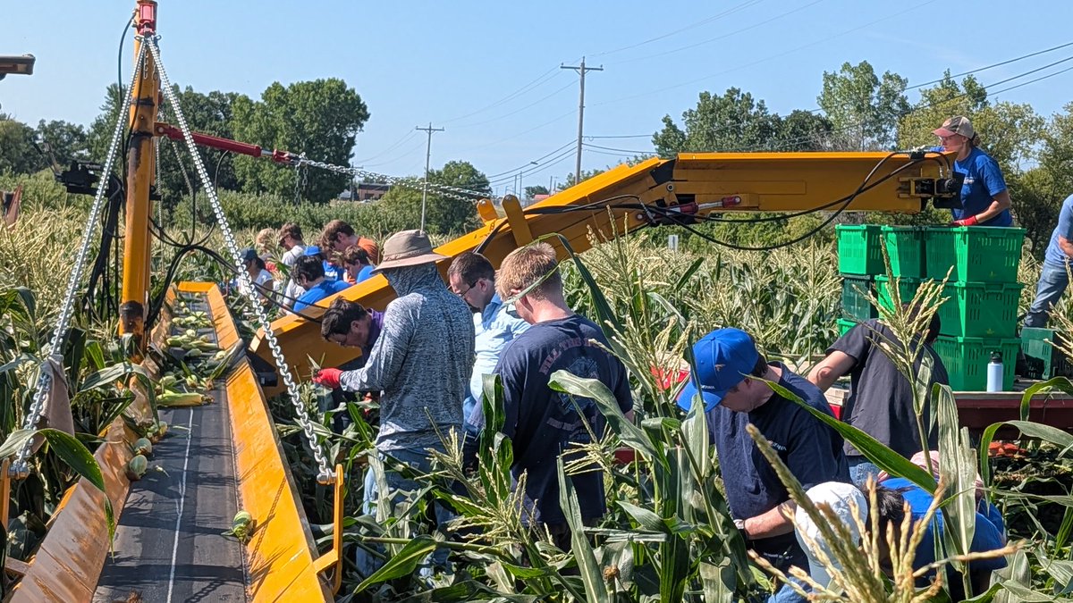 YASKAWA's tweet photo. Learning extends beyond the office. Today, our incredible interns volunteered at @hungertaskforce for the first day of corn harvest. Together, we helped support WI communities by harvesting fresh produce for families experiencing food insecurity. 🌽 #NationalInternDay #Yaskawa https://t.co/CychJ0jf3E