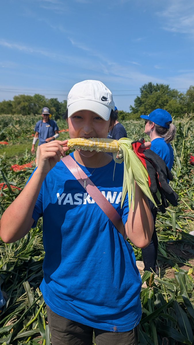 YASKAWA's tweet photo. Learning extends beyond the office. Today, our incredible interns volunteered at @hungertaskforce for the first day of corn harvest. Together, we helped support WI communities by harvesting fresh produce for families experiencing food insecurity. 🌽 #NationalInternDay #Yaskawa https://t.co/CychJ0jf3E