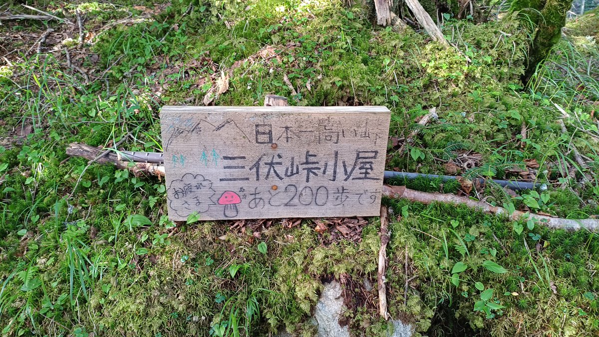 aspenrider's tweet photo. （（（（🎩⛰️ https://t.co/wHf1vRntDK