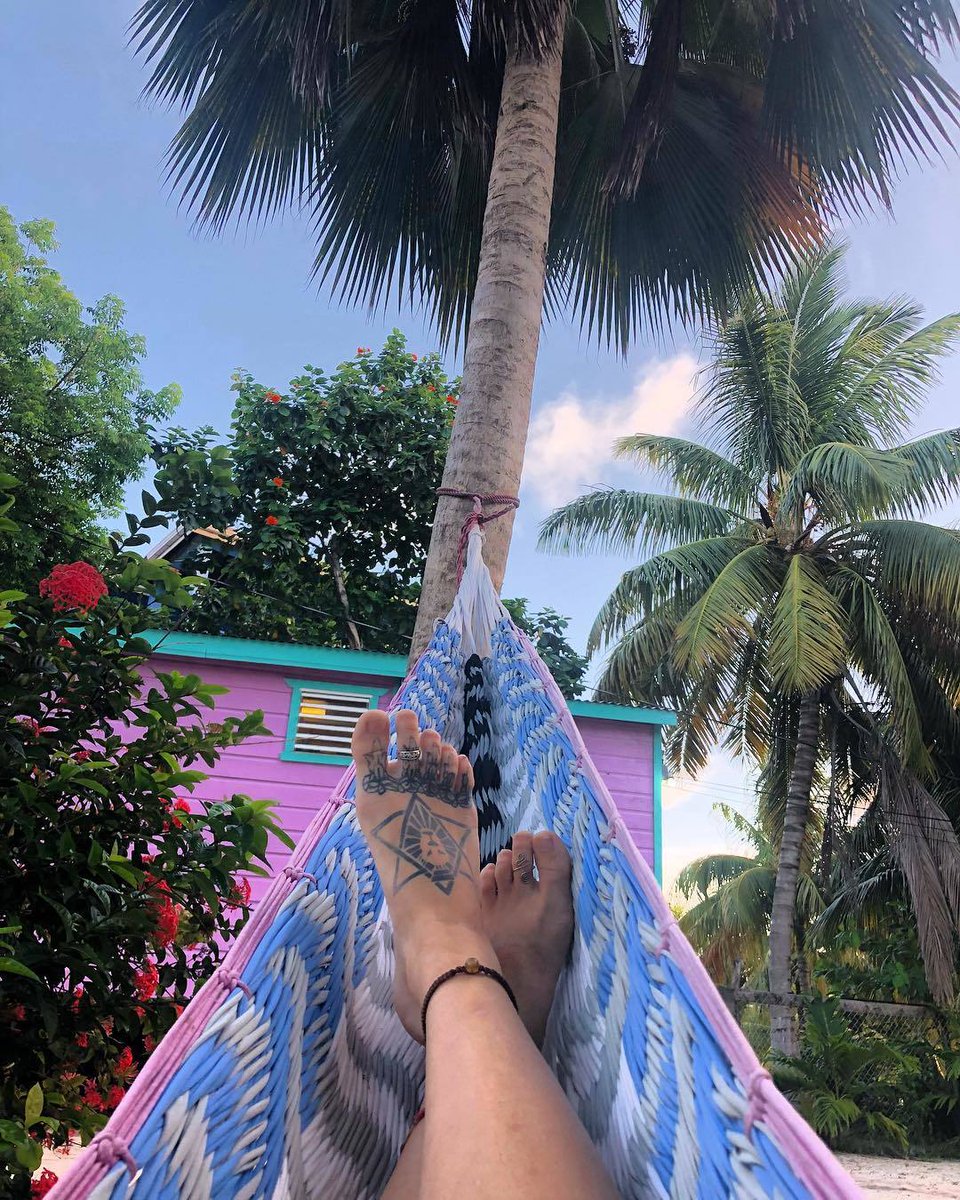 PornstarBox's tweet photo. Love her feet 👣 @IndicaFlowerxxx ⭐️

Follow me for more feet pictures of the beautiful and amazing actress Indica Flower. 🌺
#BeautifulFeet #Tattoo https://t.co/lMZ7Xqv0NA