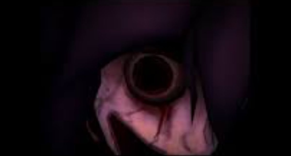 ItsZymex's tweet photo. Chimera is my reminder to Play horror games in the morning. I was playing fnf lullaby the SECOND it released and when I got to Chimera (at like 1am) it scared the everloving shit out of me. I just alt+F4'd once the closet opened because I didnt know I was supposed to flash Hex https://t.co/v4x4W2Tv7B