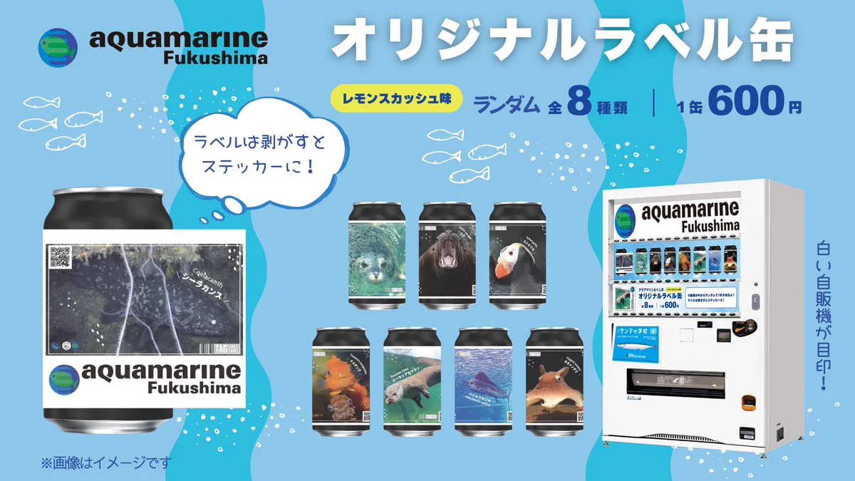 公式】TAG-LIVE! az X-en: „／ 📢福島県の水族館アクアマリンふくしま
