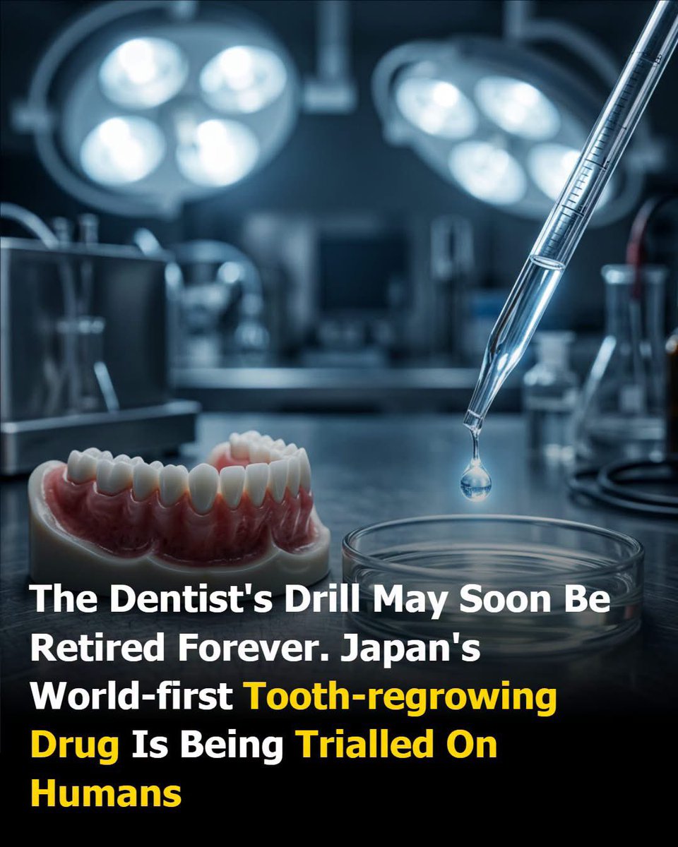 scitechgirl's tweet photo. 🦷 The End of Missing Teeth?

Forget the headlines claiming the dental drill is dead. The real breakthrough is even more amazing. Scientists in Japan are testing a treatment that activates the body's natural ability to grow brand-new teeth by targeting the biological signals responsible for tooth development.

Right now, the focus is on helping people who were born missing teeth—not replacing fillings. The therapy is in early-stage human clinical trials, so it's still experimental. But if it proves safe and effective, it could become one of the biggest advances in regenerative medicine.
For now, though... your toothbrush and floss are still your best friends.

Source: Toregem Biopharma. (2025–2026). Clinical development of regenerative tooth therapy. Toregem Biopharma.
