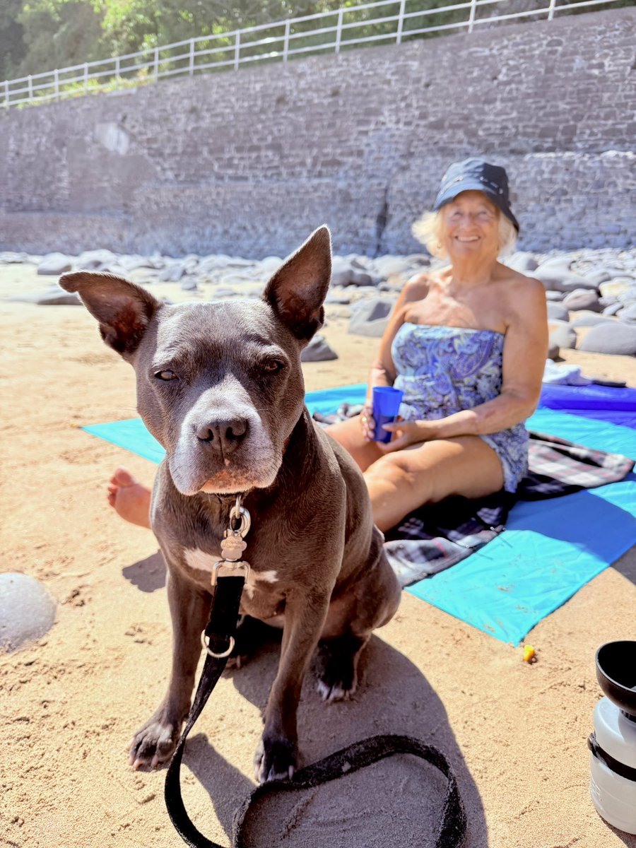 IsaMary2021's tweet photo. I need a sun hat like Nanny’s. 💙💙💙
#IsaMary #Holidogs #Wales 🏴❤️ @IsasNanny https://t.co/TY0ICVZH9C