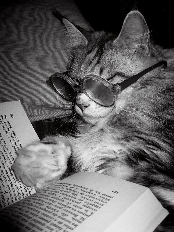 Ayor tweet media
