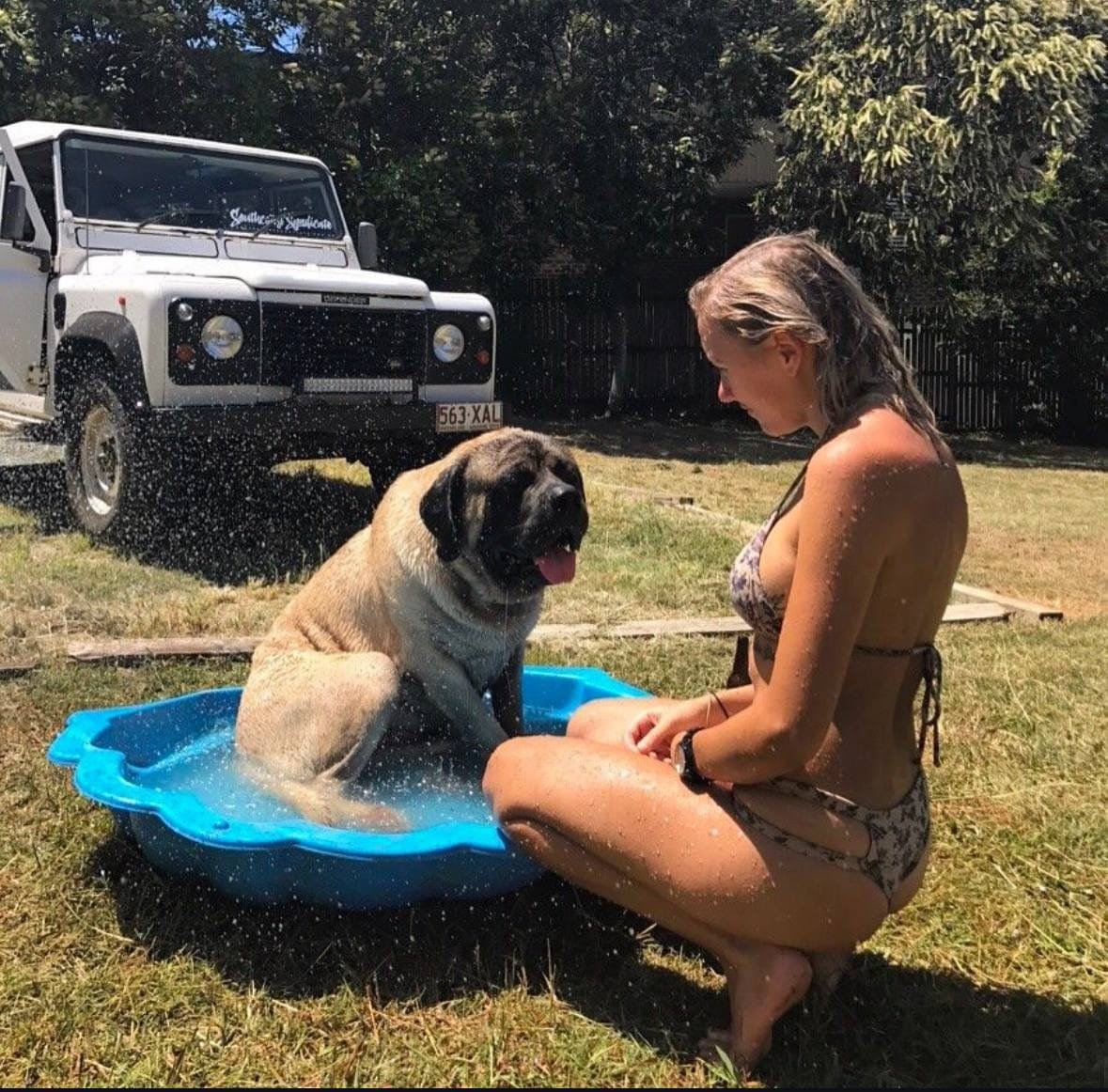 Sandy1422779's tweet photo. my prince charming 💦🍆🥵
dm for more vids🖇️👉https://t.co/4E81jI3Jwu https://t.co/o7XUqXeLLJ