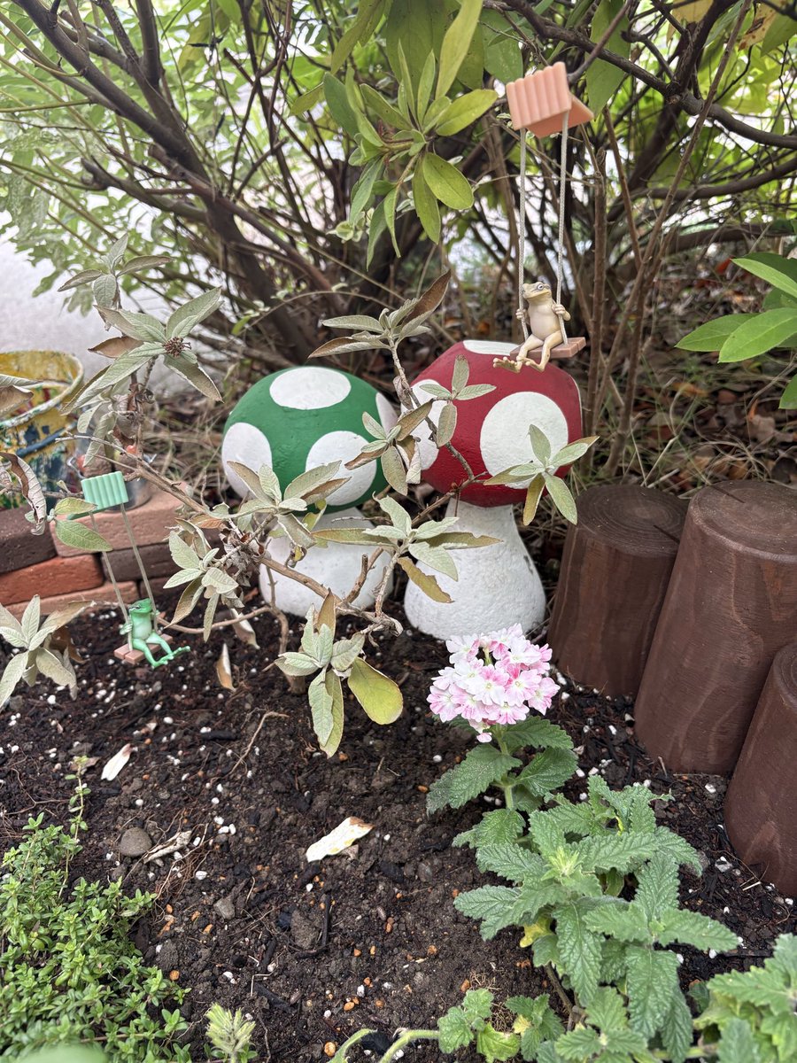 sayu1983's tweet photo. 朝からお花が綺麗😍
カエルさんも朝から楽しくブランコ漕いでたよ🐸 https://t.co/nB5FvTZC4z