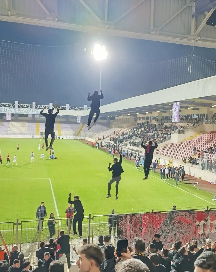 terimdick1's tweet photo. yarın spiderman izledikten sonra gördüğümüz ilk ağaçta https://t.co/S0ONk7GTMI
