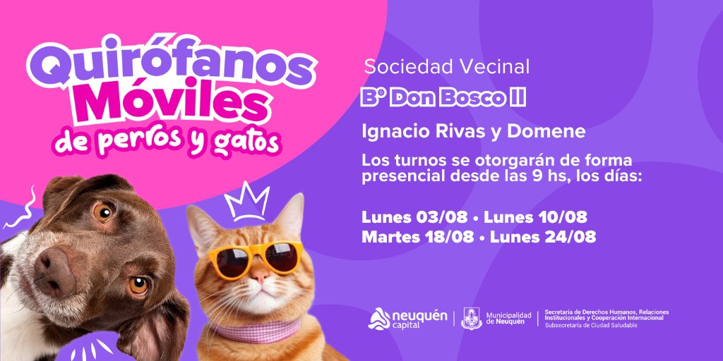 DDHH_RI_CI's tweet photo. 🐾 A partir del lunes 03 de agosto desde las 09hs, podes acercarte a nuestros #QuirófanosMóviles para obtener de manera presencial tu turno para #Castraciones de perros y gatos. 🐶🐱
#SomosNeuquénCapital
@munineuquen https://t.co/V04e8Qjven