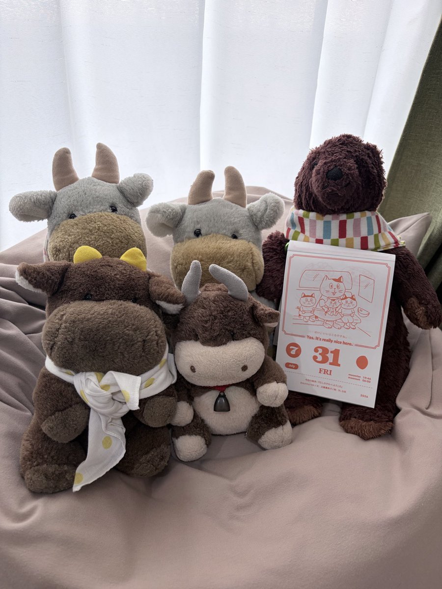 RunAtoippomaeni's tweet photo. おはようございます。牛くんです🐮☀️

今朝も朝から暑いですね💦
牛くんたちは仲間と一緒に、みんなが穏やかな一日を過ごせるよう願っています🍀

心配な出来事もありますが、一日も早く安心して過ごせる日常が戻りますように。

今日も水分補給をしっかりして、どうぞ無理のない一日をお過ごしください🌿

#おはよう #牛くん #ぬい撮り #熱中症対策 #今日もよろしくお願いします