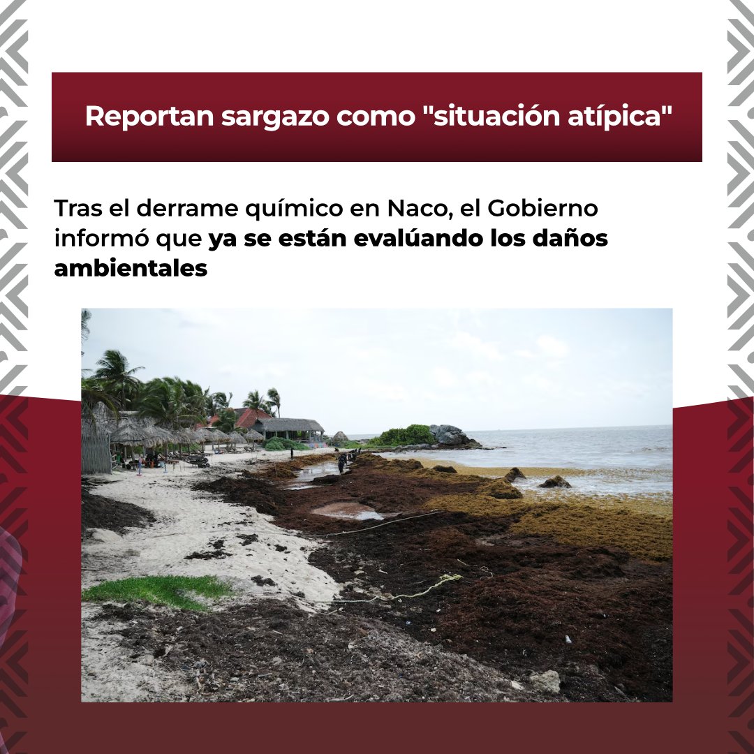 4taTransforma's tweet photo. ¡PLAYAS LIMPIAS Y ECONOMÍA MÚSCULO! 🇲🇽🏖️📈 En la Mañanera del Pueblo de este jueves 30 de julio se anunciaron dos noticiasazas para México:

🌊 2 MDP vs. el Sargazo: Inversión inmediata en Quintana Roo para limpiar el Caribe y cuidar el turismo.

📊 El PIB va a la alza: La economía mexicana sigue respondiendo con números positivos y estabilidad para todas y todos. 🌱✨

¡Diario de frente con la información que sí te importa! 🦅🙌 ¡Sigue nuestra página para no perderte el resumen mañanero antes que nadie! 📲👇

#La4taTransformación #ClaudiaSheinbaum #LaMañaneraDelPueblo