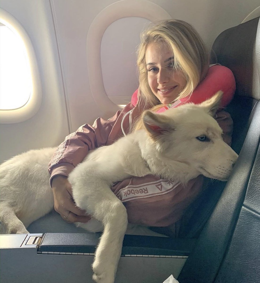 Avastonesws8's tweet photo. Life is better with a loyal companion by your side.🐾❤️
Every journey becomes a beautiful memory when shared with unconditional love.
#Doglover 🐶✈️" https://t.co/FHE8udFGyF