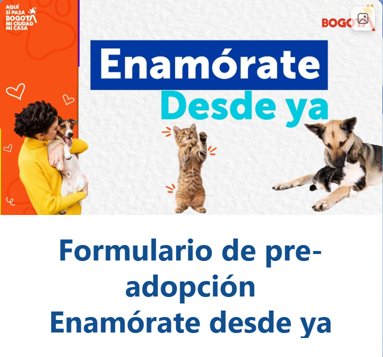 AnimalesBOG's tweet photo. 🐈🐕❤️❤️Estás buscando un animal de compañía al cual abrirle tu hogar? Ingresa a nuestro formulario #EnamóratedesdeYa y completa todos los requisitos para que a tu casa llegue un ángel de cuatro patas. 
#expopet
#AdoptaYa @AHLLAMAS @Bogota https://t.co/J6ifoIJtSk