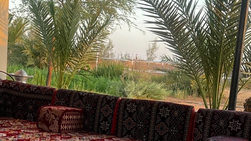 1ih____'s tweet photo. 2:29am
6:12am
فجريّات المزرعه 🌱 https://t.co/WrJKQ375D2
