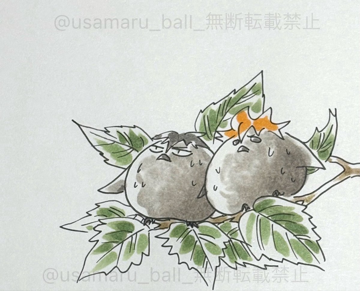 usamaru_ball's tweet photo. #今月描いた絵を晒そう
3-②
来月も描けたらいいな😌🎶
笑ってもらえると至福😆🎶
#ハイキュー https://t.co/uJBFvBrDt3