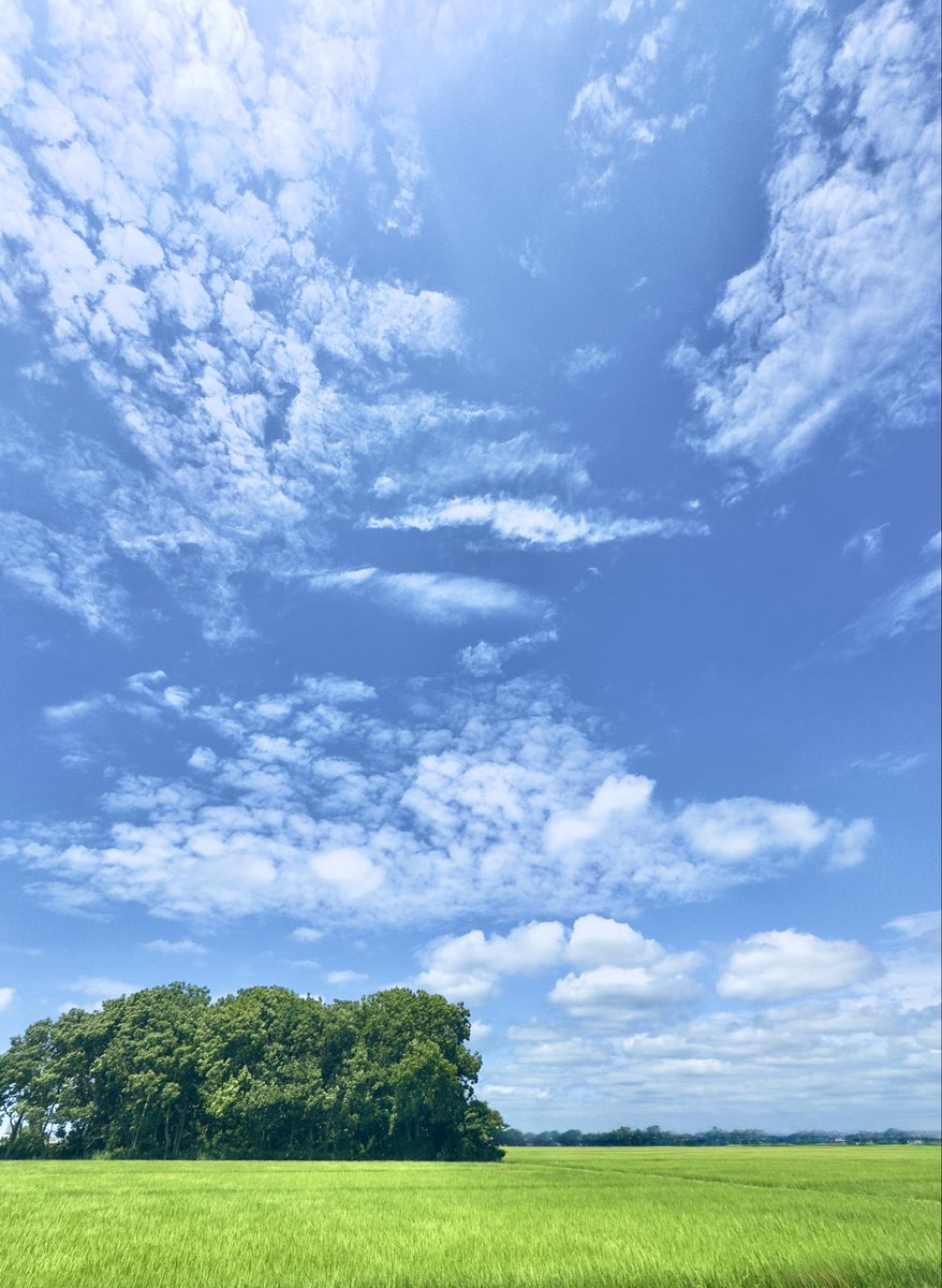 o13840's tweet photo. 空が好き。青が大好き… https://t.co/41gCn9RX9S