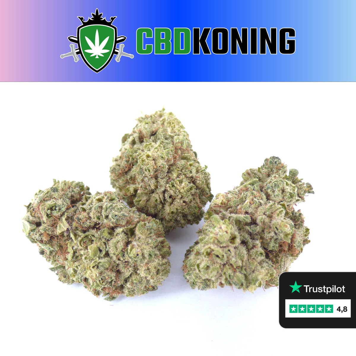 CBDkoning2nd's tweet photo. De echte CBD Koning 👑
Kwaliteit boven alles
Sinds 2019 🌱
Link in bio ✅
#CBDKoning #KoningCBD #fertwe #ajavoj
#Haarlem #Leiden #Food https://t.co/YlaXfCL22Q