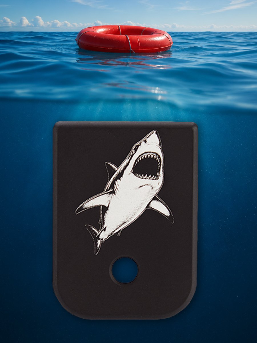 NDZPerformance's tweet photo. Is Shark Week still cool? Asking for a friend. 🦈 https://t.co/P98tMtU9ts