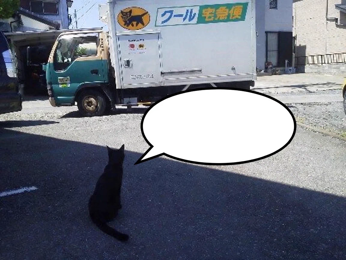 猫さん