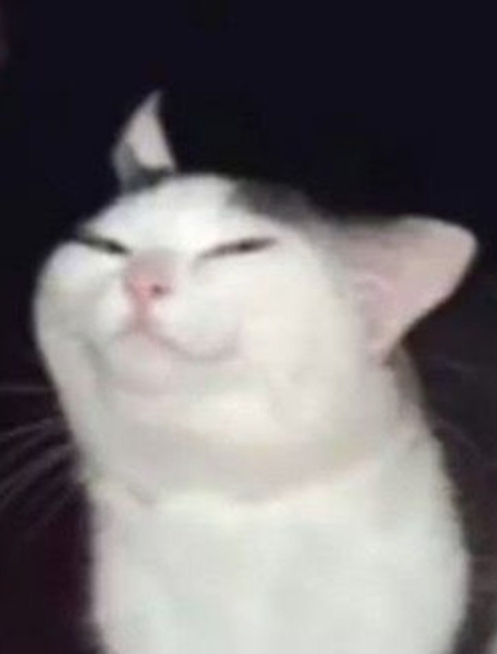 AutistSolide tweet picture