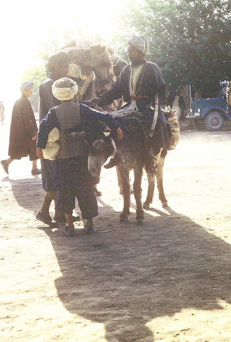 Bagh_eBabur's tweet photo. Turks of Afghanistan

A reminder of the Silk Road culture. https://t.co/OIoAig0jYE