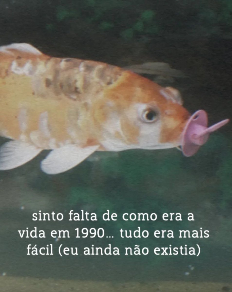 shitpostverdade's tweet photo. https://t.co/jQlb3pu2Rq