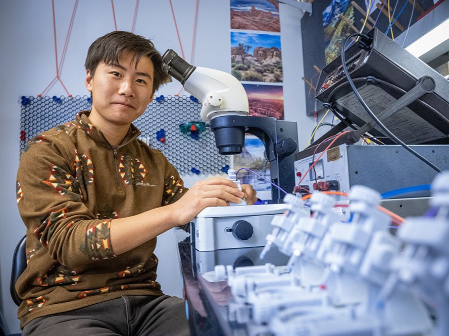 CEASSBU's tweet photo. As an internationally recognized R1 research institution and the number one public university in NYS, SBU boasts more than 2,300 research faculty who provide the mentorship and experience that student researchers need to make an impact on the world.

🔗 https://t.co/b4Dnj6v0Zv https://t.co/5Untpes3D3