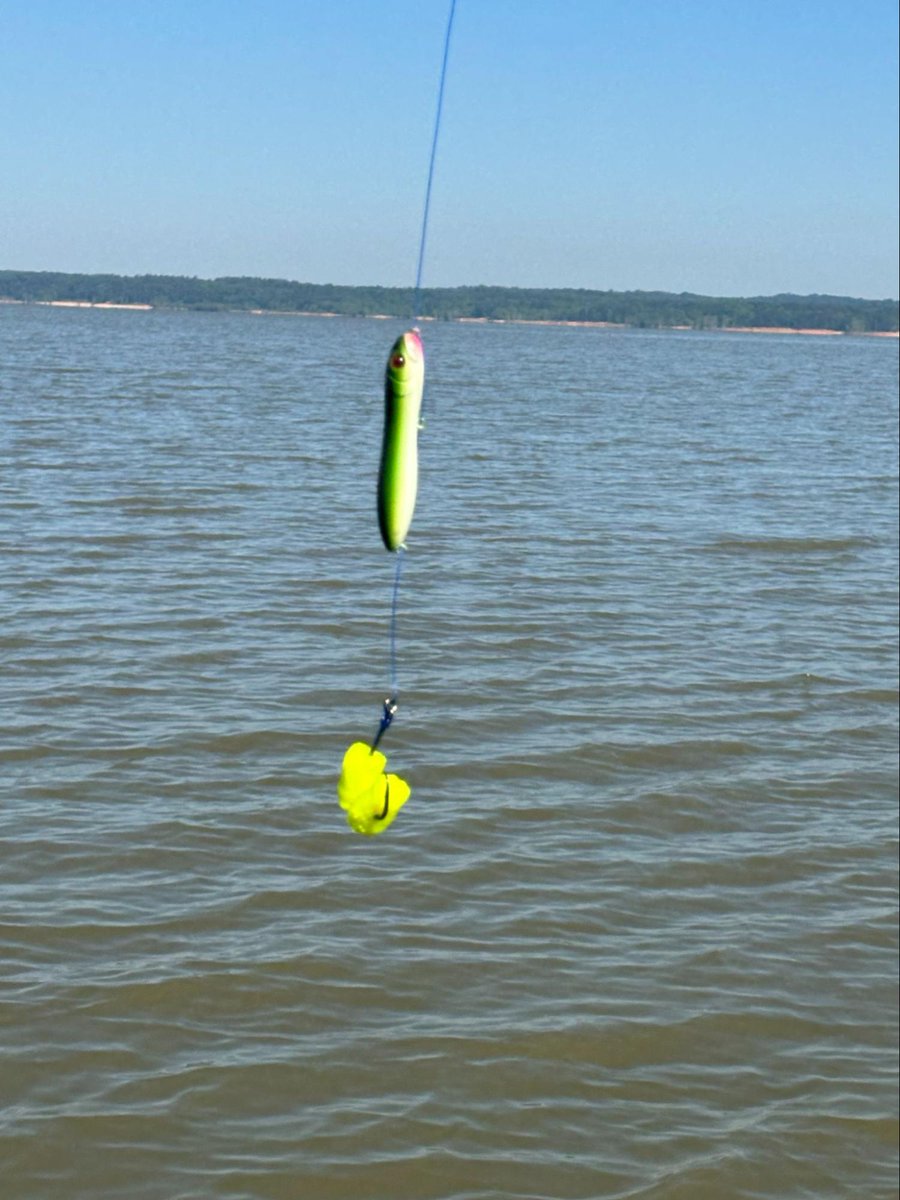 CatfishNOW1's tweet photo. Keep your bait where the catfish are feeding. This float rig lifts FishBites Catfish Bait off the bottom and holds it right in the strike zone. Best of all, it stays locked on the hook cast after cast.
https://t.co/xsiThkP8Pu
#CatfishNOW #FishBites #CatfishFishing #FloatRig https://t.co/QKxrczZVkR