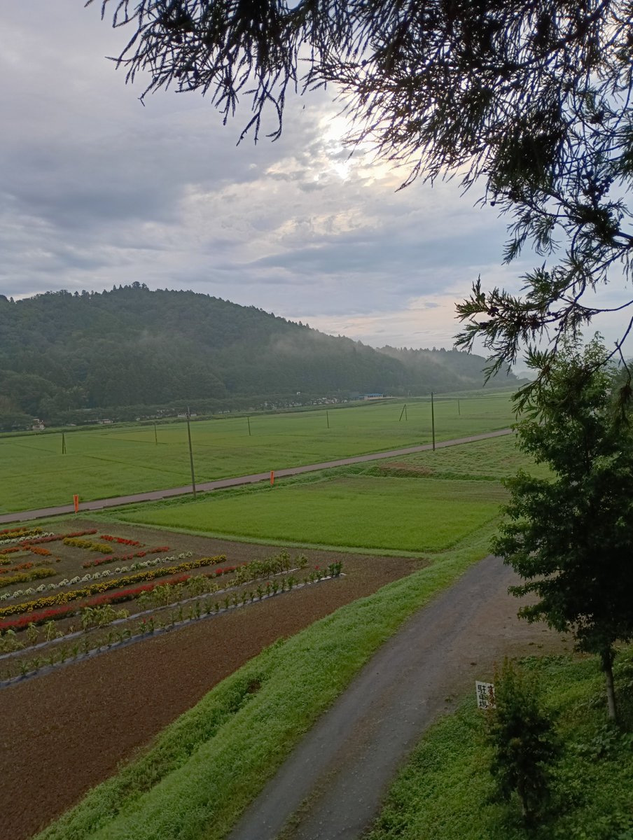 date_tedukuri's tweet photo. 2026年、西根田んぼアートは、６３日目。

曇り空。晴れて欲しいですが、今は過ごしやすい気温です。 https://t.co/zt217oESmC