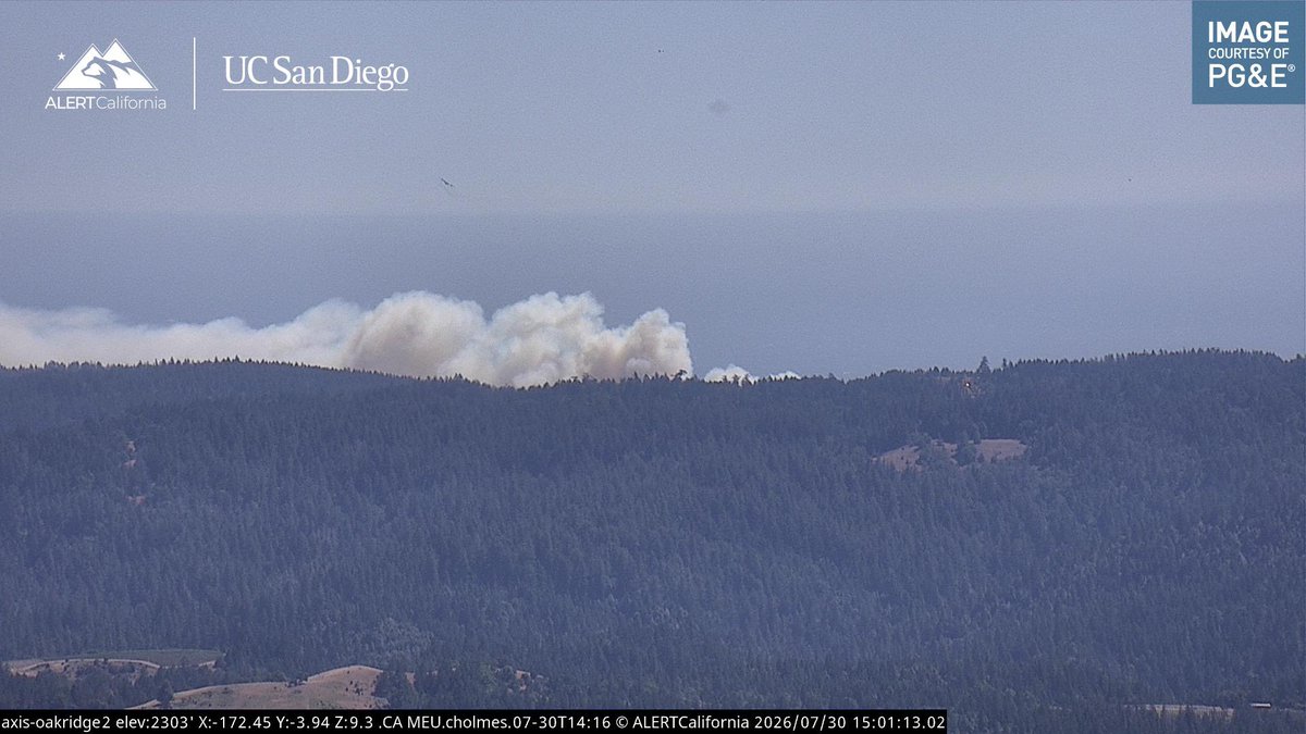 DanielFireTruck's tweet photo. I was watching this Fire for an hour and it’s beginning to increase in activity. 

This is the #WoodsideFire located at Highway 1/Gerstle Cove, Sonoma County.
The Fire is on the West side of the Highway 10 acres with short range spotting. https://t.co/CXwuInx0SM