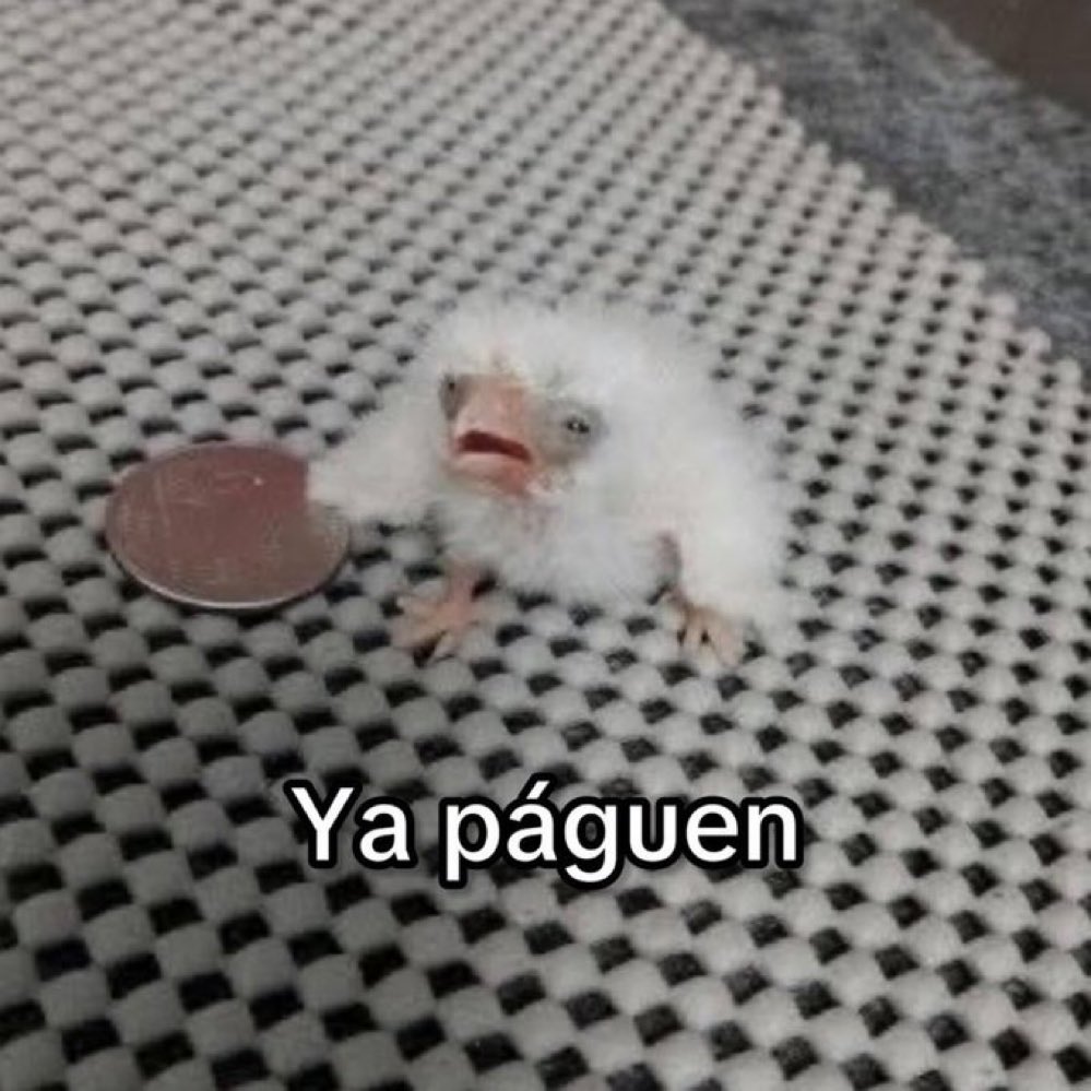 nikoggum's tweet photo. soy pobre una moneda para un leproso https://t.co/sjSHn6euQD
