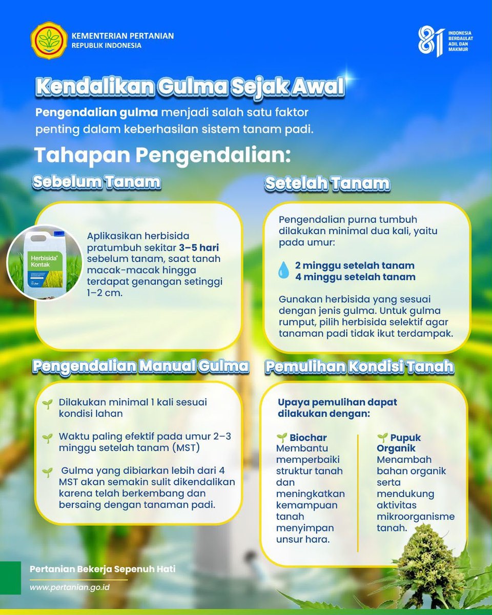 BRMP_Papua's tweet photo. Melalui Pertanian Modern Advanced Agricultural System (PM-AAS), budidaya padi menjadi lebih efisien, hemat air, dan produktif untuk mendukung terwujudnya Indonesia yang berdaulat, adil, dan makmur melalui swasembada pangan.
#HUT81KemerdekaanRI #PMAAS #PertanianMaju https://t.co/8QZYnuPHPW