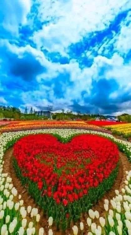 alsaeudaa44653's tweet photo. قد نكتب خواطرنا كي لا نختنق بالصمت
لكن أحيانا نكثر الكتابة ونختنق بالكلمات
فبرغم كل شيء نقوله ونكتبه
يبقى في القلب أشياء أكبر من أن تقال
ففي قلب كــل منا غـرفـــة مـغـلـقه 
نـخـــاف طــرق بـابـها حـتى لانـبـكي 💔 https://t.co/CJ7pgpFALa