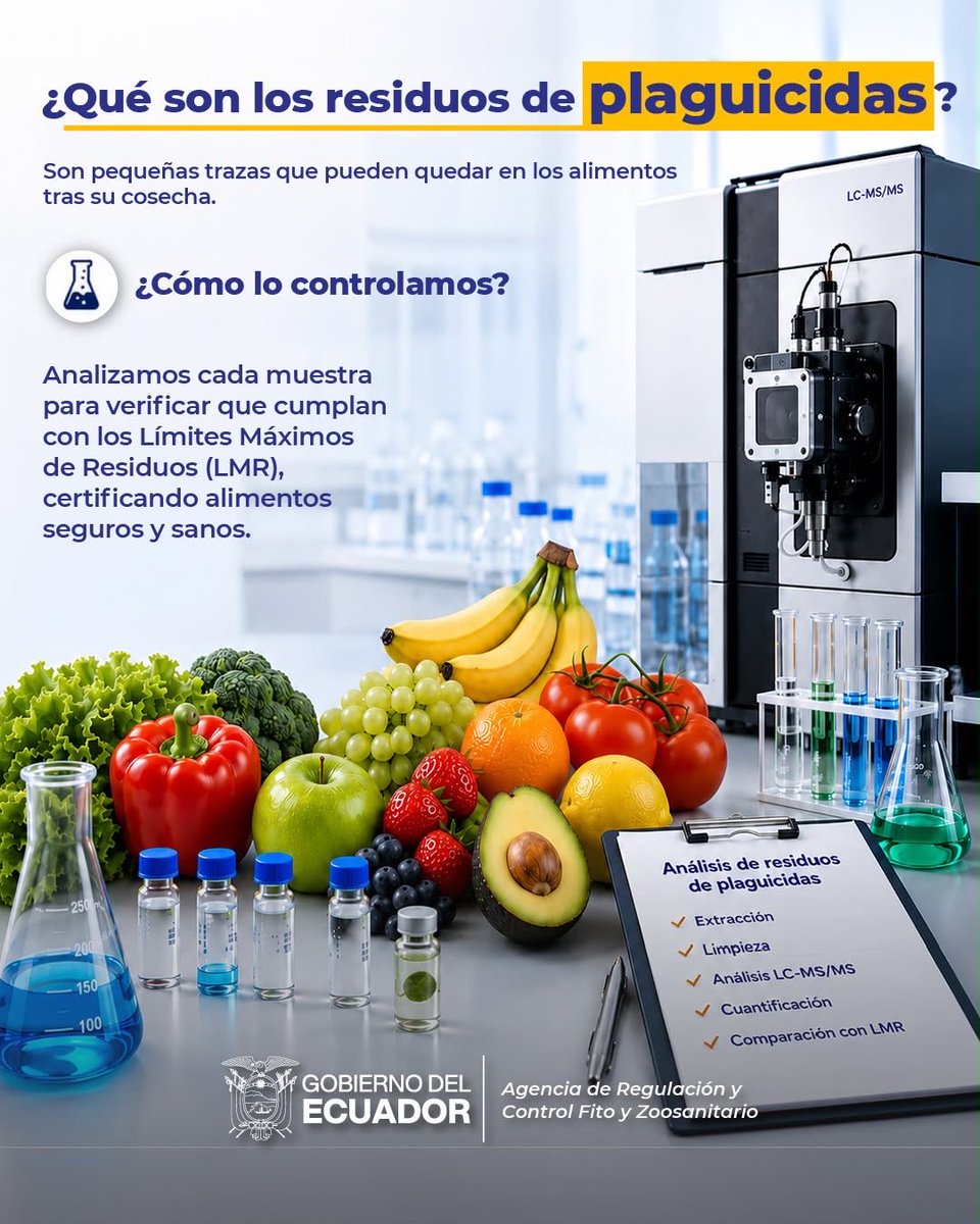 AgrocalidadEC's tweet photo. 🔬| #LaboratoriosDeCalidad

Tras la cosecha 🍎, pueden quedar pequeñas trazas de productos usados para cuidar los cultivos; por eso, realizamos análisis especializados.

Verificamos la inocuidad alimentaria y respaldamos a nuestros productores de todo el país. 🇪🇨

#ProtegemosElAgroEcuatoriano 💪🏽