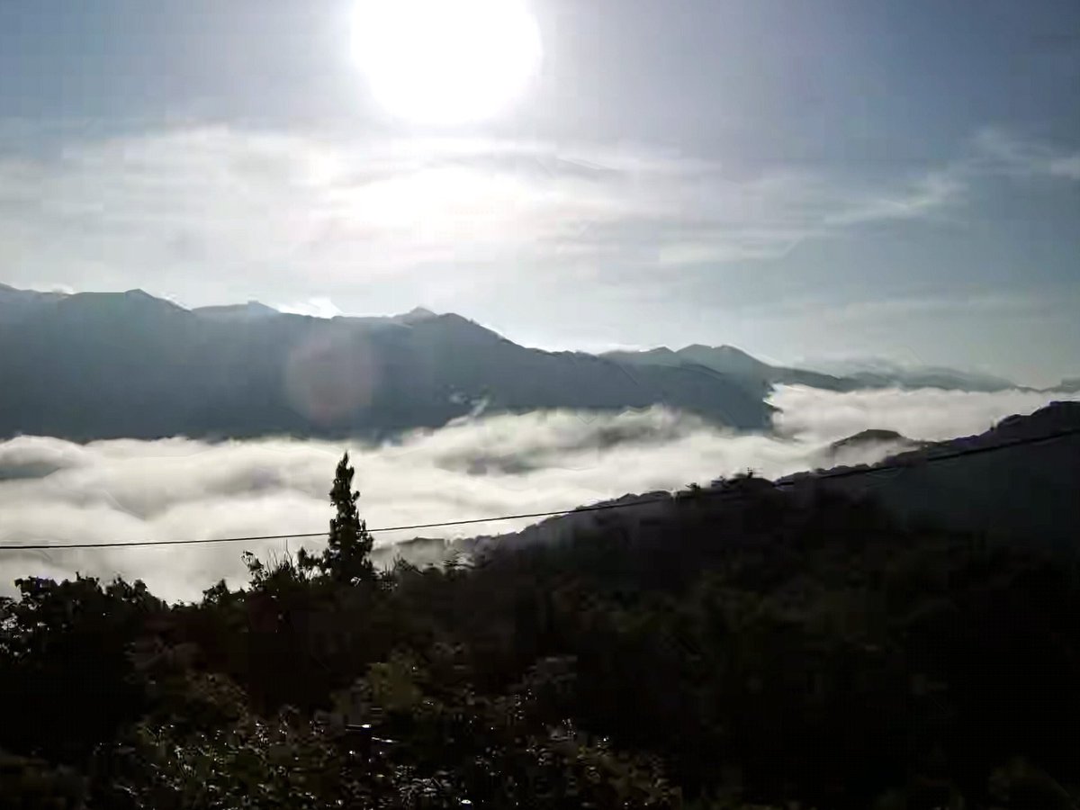 SHIGE_labo's tweet photo. 現在の島根県美郷町・田之原展望台です🏔️

7月最終日！
今朝は珍しく大規模な雲海が発生しています✨
まるで雲の海が山々を包み込んでいるような幻想的な朝です（*^▽^*）

#島根 #美郷町 #田之原展望台 #雲海 #雲海スポット https://t.co/bVOXn8H4mj