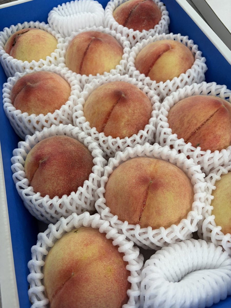 narichansan's tweet photo. おはようございます
お中元のお裾分け
頂きました🍑
今日も酷暑💦
無理せずにいきましょう！
#ohayo
#荒川の桃 https://t.co/LiEbSVuZsh