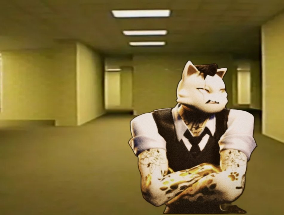 MEOWDASPARODY's tweet photo. [INT BAIT]
*Falling from the ceiling*
"What the hell! I was just on my yacht and just fell through the floor!"
*few hours later*
"Damn... where's the exit? I hate this place already.…" https://t.co/I57hsIOhm8