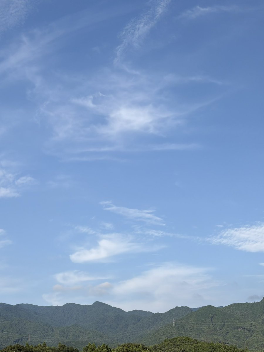 awalking_cat's tweet photo. おはようございます☀️
今日も猛暑日の予報だし、もう既に暑い...
#イマソラ https://t.co/shF81DFlDD