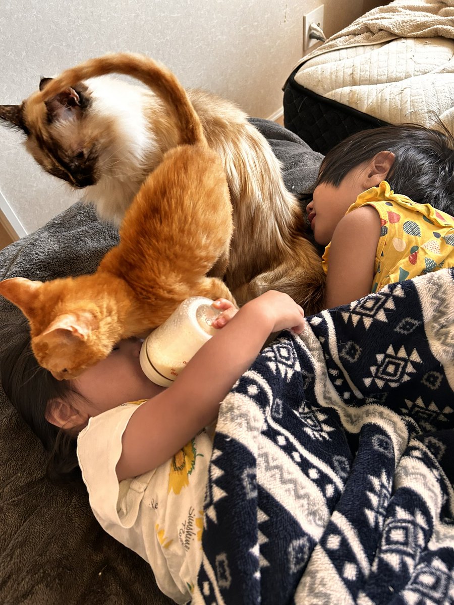 UMA_NeWorld's tweet photo. 当たり前の事が当たり前じゃなかったんだって、 https://t.co/BG1E9RweFE