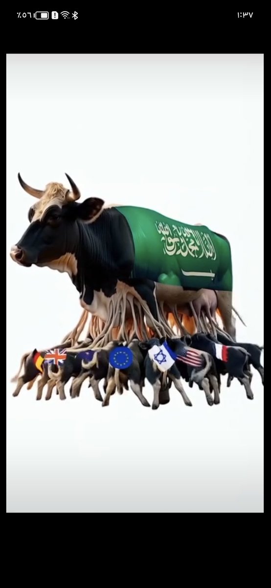 memm9607's tweet photo. @Dreameryul6 @nagwaegypt1234 السعودية اليهودية المخانيث https://t.co/28zU98Shej