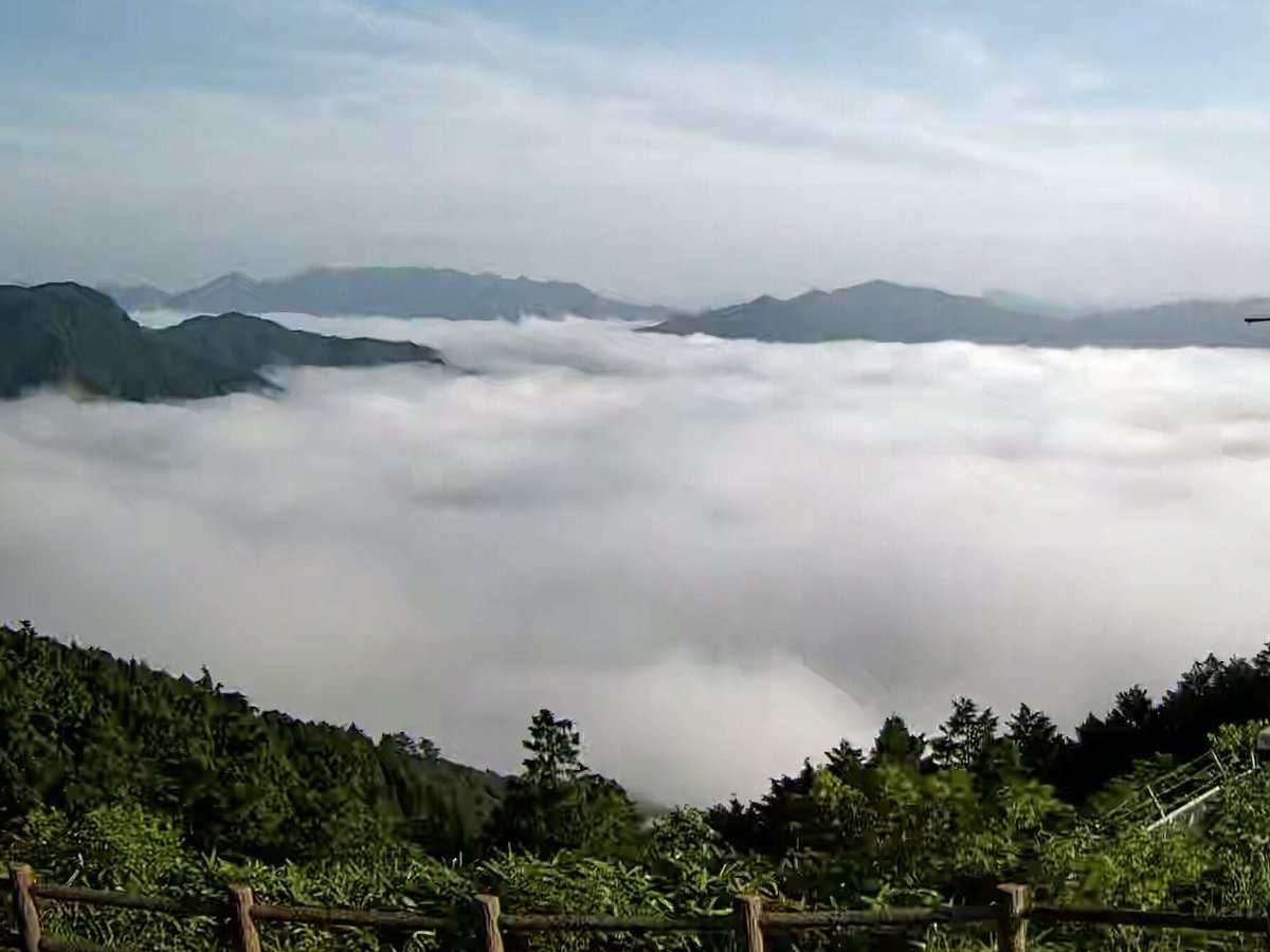 SHIGE_labo's tweet photo. 現在の島根県美郷町・田之原展望台です🏔️

7月最終日！
今朝は珍しく大規模な雲海が発生しています✨
まるで雲の海が山々を包み込んでいるような幻想的な朝です（*^▽^*）

#島根 #美郷町 #田之原展望台 #雲海 #雲海スポット https://t.co/bVOXn8H4mj