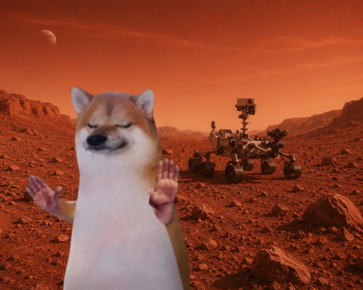 trustbroPF's tweet photo. dw elon, i've got this. 😌 https://t.co/LaHIMpgxII