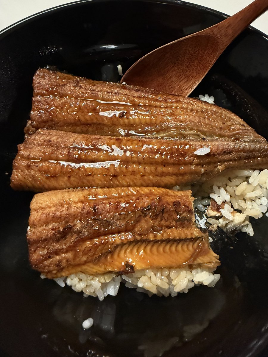 matarakuda57's tweet photo. 昨日は久しぶりに鰻食べました
∈(ﾟ◎ﾟ)∋

ウナギも高くなってなかなか手が出ませんね💦

精もついたのでモリモリ頑張ります💪 https://t.co/YwpeBdUTGT
