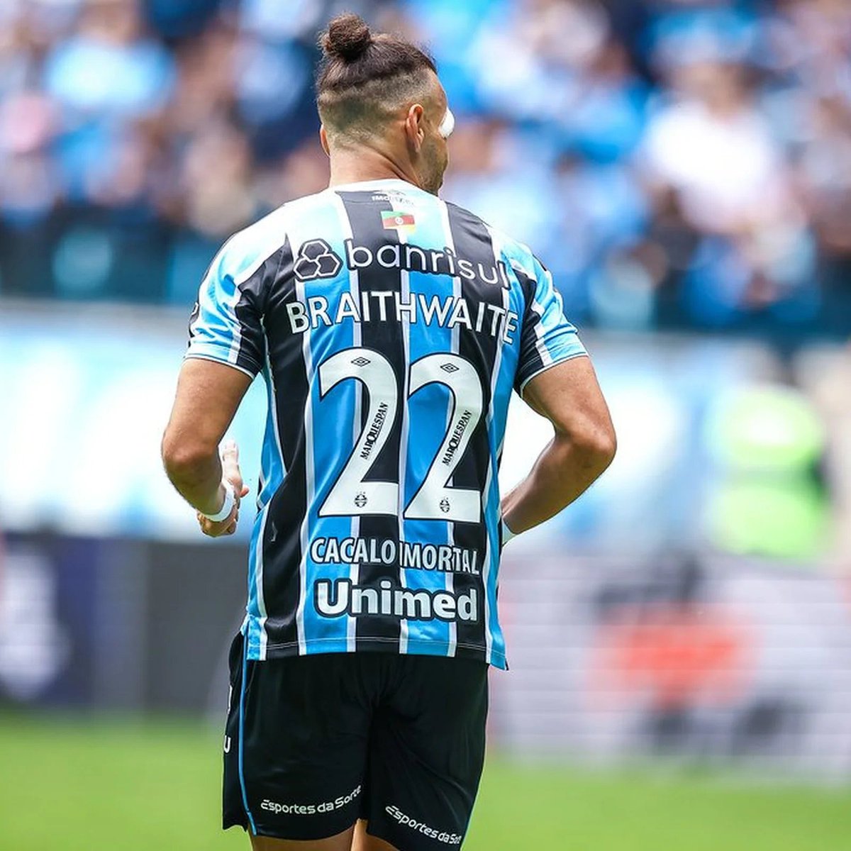 GremioTimeLine's tweet photo. +2.5 milhões por mês

3 gols perdidos e chutar uma falta importante na LUA 

Parabéns, BagreWhaite! https://t.co/rPXAdFoJtY