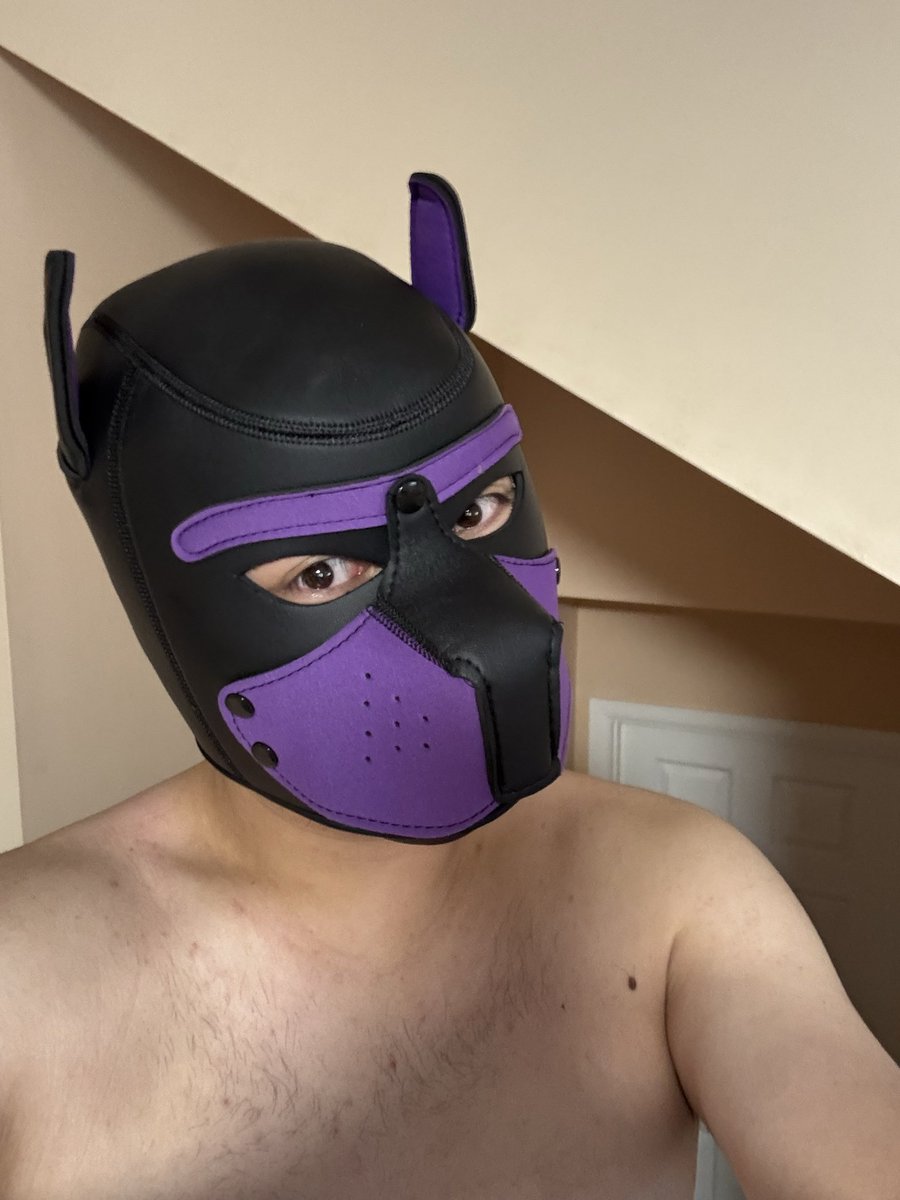 ChastityMask's tweet photo. Finally home!

#PupPlay #GayPup #PupHood #PupKink #PetPlay #PupGear #OmegaPup https://t.co/ntNCv9C4rg