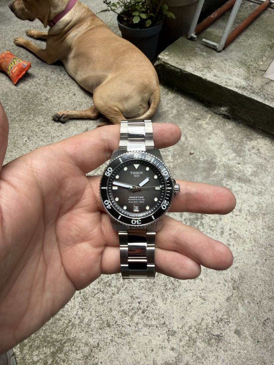 demonkike's tweet photo. si tuvieran que elegir solo uno, ¿cuál sería?

#Longines #Hydroconquest
#Tissot #Seastar1000 https://t.co/oxxEoOwRy1