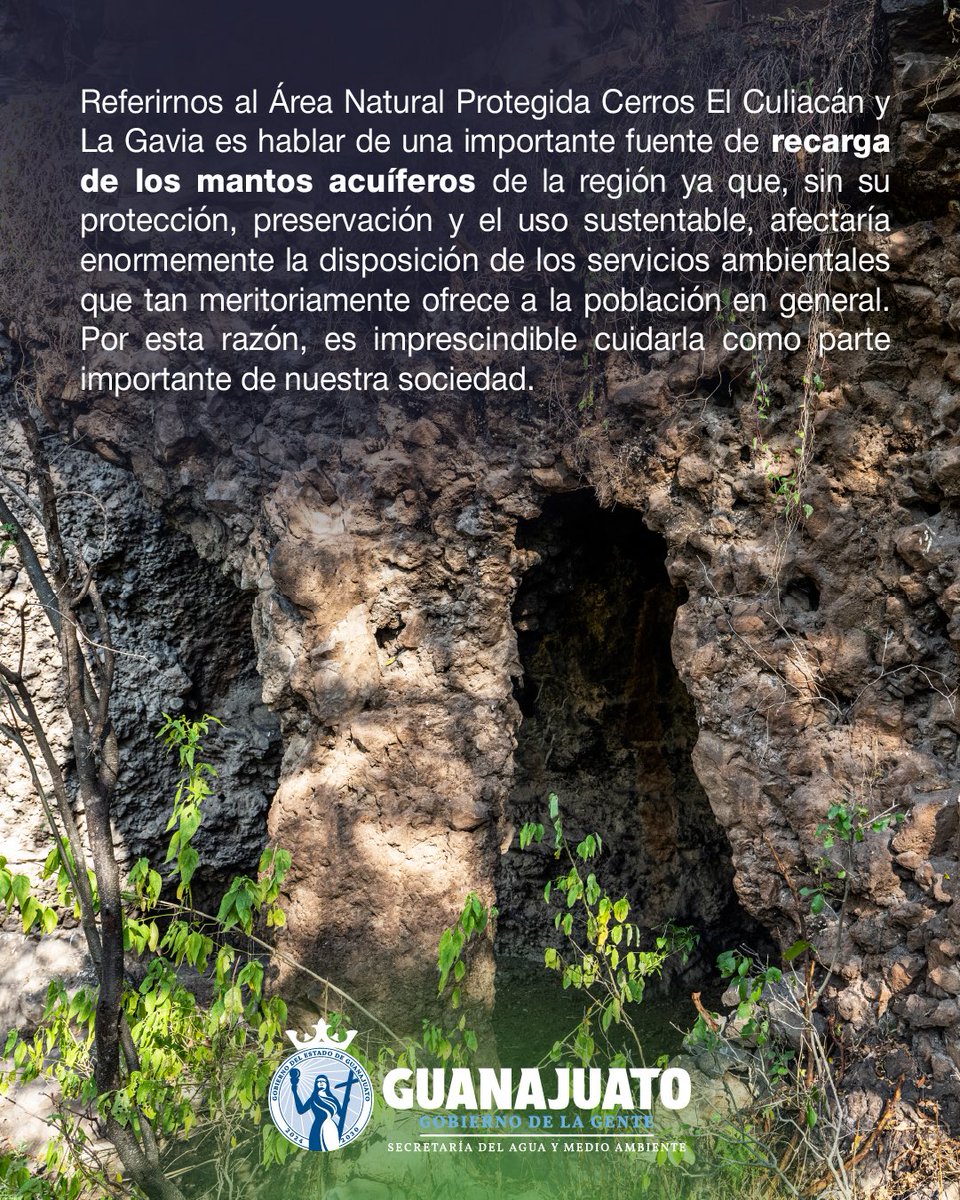 aguagobgente's tweet photo. Hoy es el cumpleaños de los Cerros El Culiacán y La Gavia.🎉

En Celaya, Cortazar, Jaral del Progreso y Salvatierra encontramos esta ANP que es fuente de recarga de los mantos acuíferos.⛰️

Estamos celebrando su XXIV aniversario como Área Natural Protegida, ¿ya la conocías? https://t.co/JdNOyLqdxB