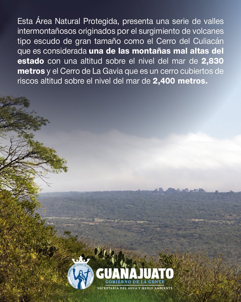 aguagobgente's tweet photo. Hoy es el cumpleaños de los Cerros El Culiacán y La Gavia.🎉

En Celaya, Cortazar, Jaral del Progreso y Salvatierra encontramos esta ANP que es fuente de recarga de los mantos acuíferos.⛰️

Estamos celebrando su XXIV aniversario como Área Natural Protegida, ¿ya la conocías? https://t.co/JdNOyLqdxB
